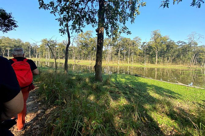 2 Hours Nature Walk in Chitwan National Park - Key Points  