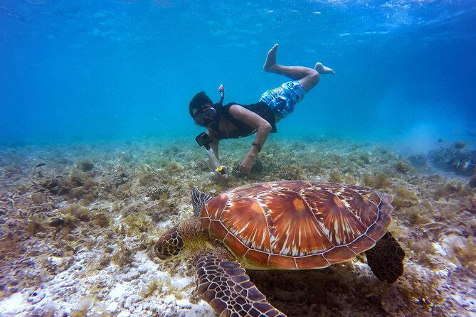 2 hours Private Snorkeling tour in Unawatuna - Exploring the 2 Hours Private Snorkeling Tour in Unawatuna: An Honest Review