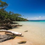 2 Islands Cruise: Porquerolles & Port-Cros with stops - Why This Tour Offers Great Value
