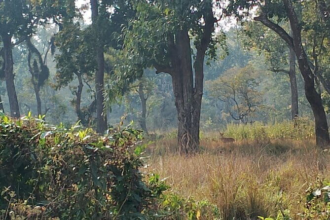 2 Night 3 Days Chitwan Jungle Safari Tour from Kathmandu - Key Points