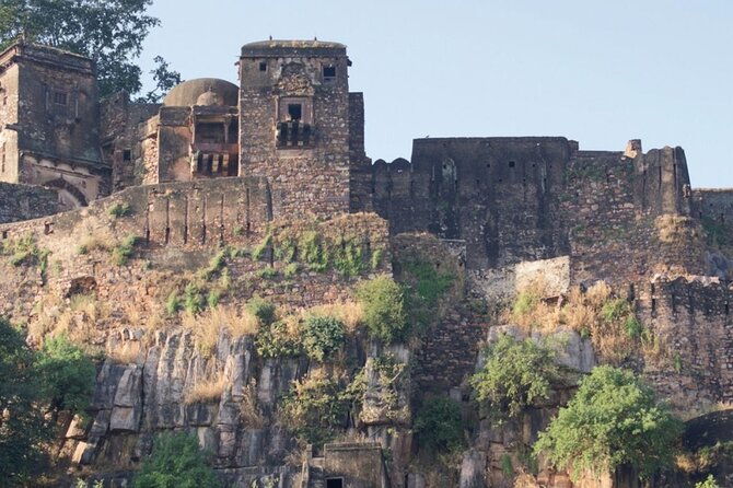 03 Days Private Ranthambore Wildlife Safari Tour From Delhi - Practical Tips and Considerations