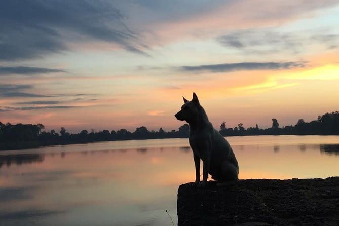 1 Day Angkor Wat with Sunrise Tour - Final Thoughts