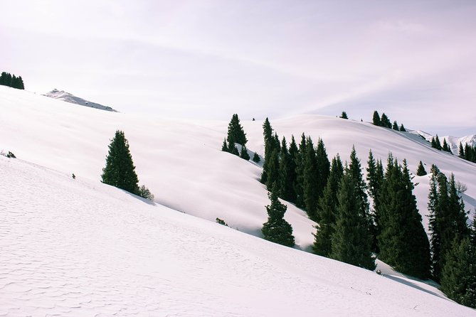 1-day Backcountry Tour - What Makes This Tour Stand Out