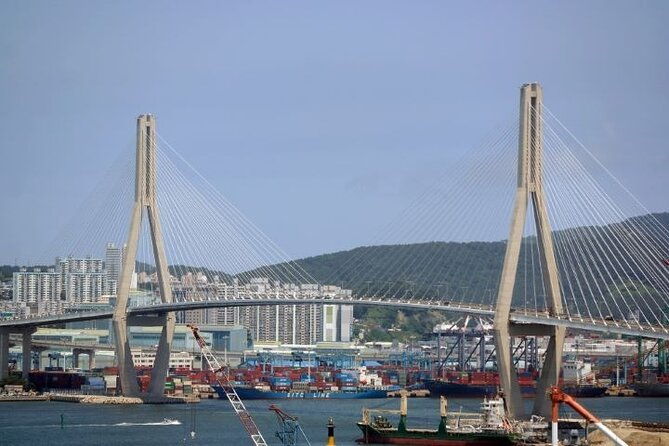 1-DAY Busan and INCLUDED night tour - Transportation and Comfort