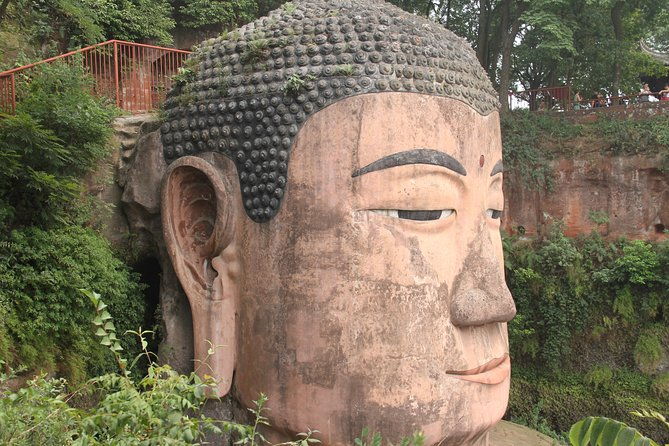 1-Day Chengdu Panda Base and Leshan Giant Buddha GROUP Tour - Who Is This Tour Perfect For?