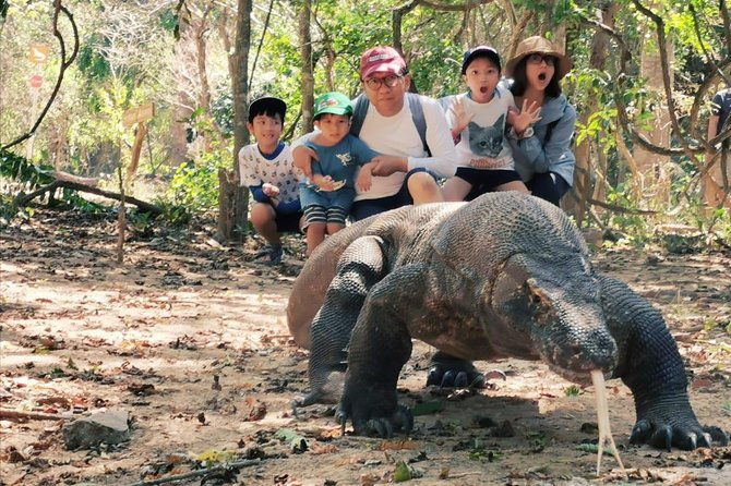 1 Day Komodo Trip By Shared Fast Boat - Who Will Love This Tour?  