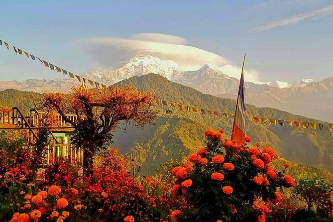 1-Day Private Dhampus Trekking Tour - Final Thoughts