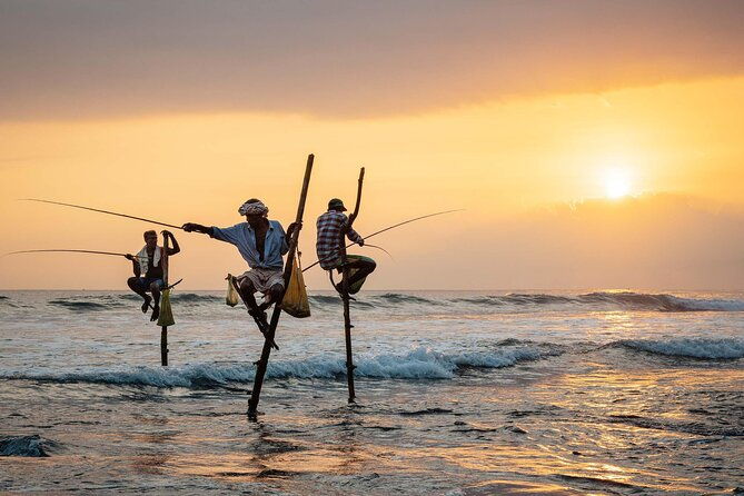 1 Day Private Tour Itinerary for Bentota, Hikkaduwa and Galle - A Detailed Look at the Tour Experience
