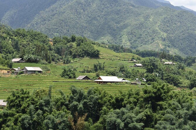 1-Day Private Trekking in Sapa through Terraces Rice Fields - FAQs
