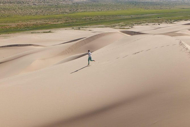 1 Day Semi-Gobi Tour with Lunch And Enjoying Camel or Horseback - Authenticity and Review Highlights
