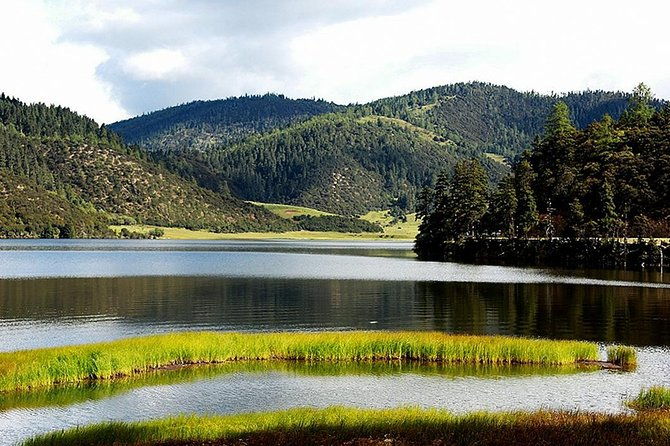 1 Day Shangri-la City Tour with Pudacuo National Park - How the Tour Brings Value