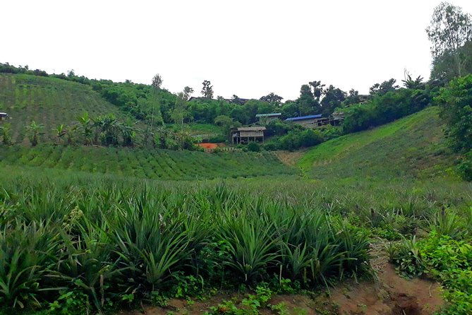 1 Day Trekking Group Tour With Bamboo Cooking / Chiang Rai - What We Love About This Tour