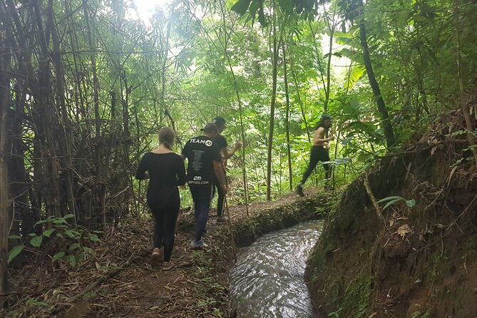 1 Day Trekking in Chiang Mai - Frequently Asked Questions  