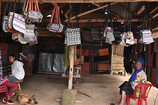 1 Day VIP Private DALAT COUNTRYSIDE TOUR( PRIVATE CAR/ MOTORBIKE) - Flexibility and Customization