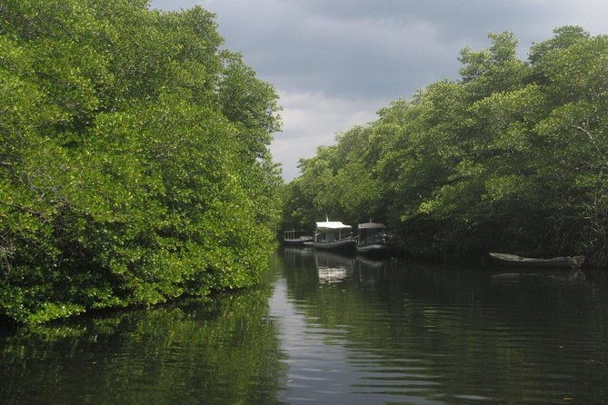 1 Hour Mangrove Tour From Lembongan with Kayak, Paddle, or Boat - FAQ Section