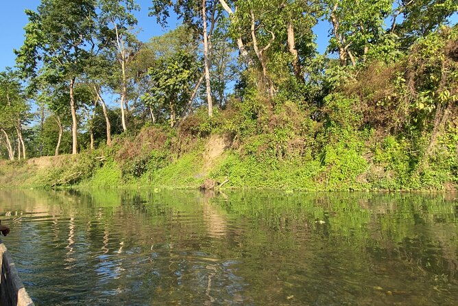 1 Night 2 Days Chitwan Jungle Safari Tour - What’s Included and What’s Not