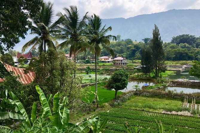 1 week private round trip North Sumatra - Who Is This Tour Best Suited For?
