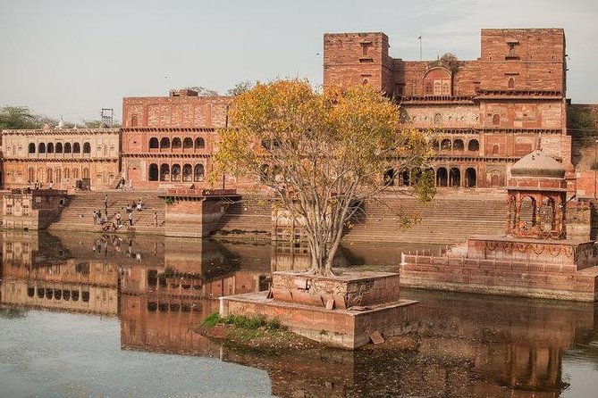 10 Days Delhi Agra Jaipur Tour with Rajasthan - Practical Tips for Future Travelers
