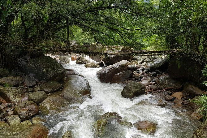 10D/9N Assam-Meghalaya-Arunachal pradesh - Who Should Consider This Tour?