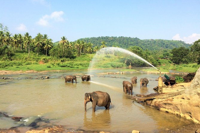 12 Day Explore Sri Lanka - What Makes This Tour Stand Out?