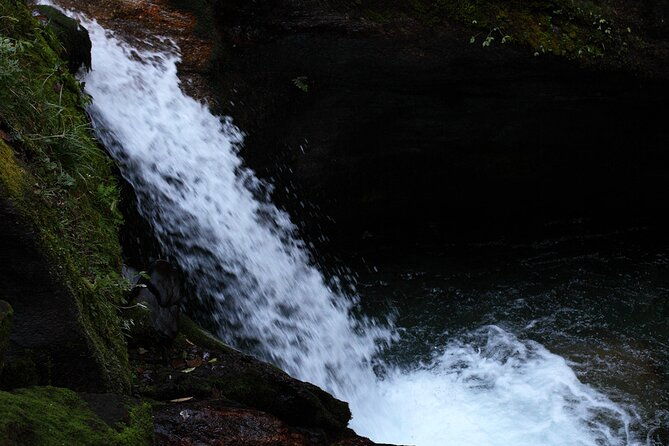 12-Day Nepal Adventure Trek with Jungle Safari - The Sum Up