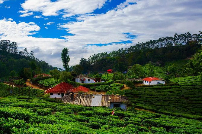 14 Days Golden Triangle tour with enchanting Kerala South India tour - Transition to Kerala: A Natural and Cultural Contrast