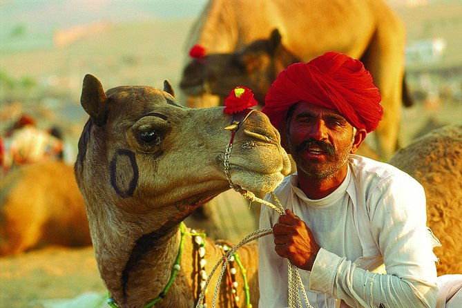 16-Days Rajasthan Tour with Agra from Delhi by,Includes,Guide,Hotels,A-C Vehicle - Hotels and Accommodation