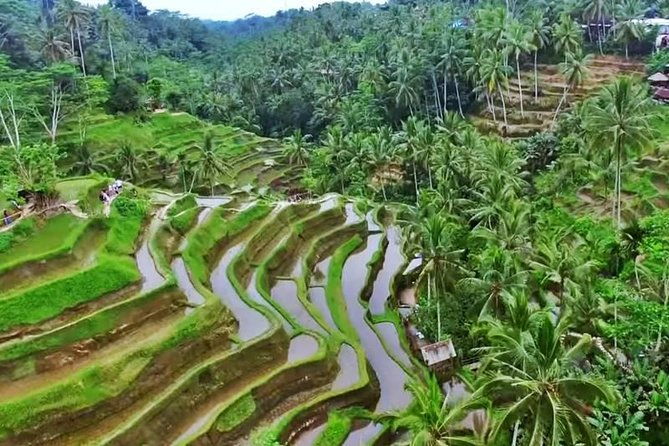 2-Day Experience Bali: Most Popular Tour - Why This Tour Stands Out