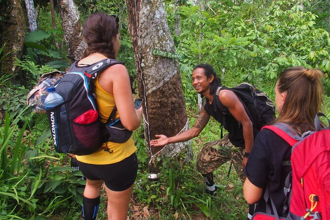 2-Day Jungle Trekking & Rafting in North Sumatra - A Detailed Look at the 2-Day Jungle Trekking & Rafting Experience