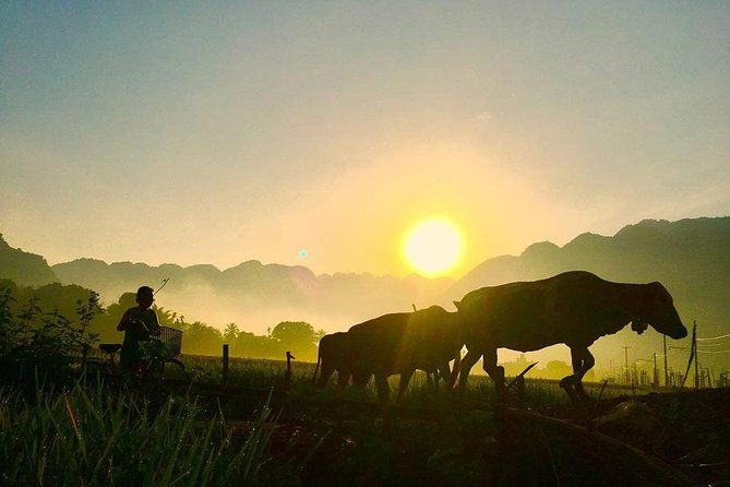 2-Day Mai Chau Valley Tour from Hanoi - Final Thoughts: Is It Worth It?