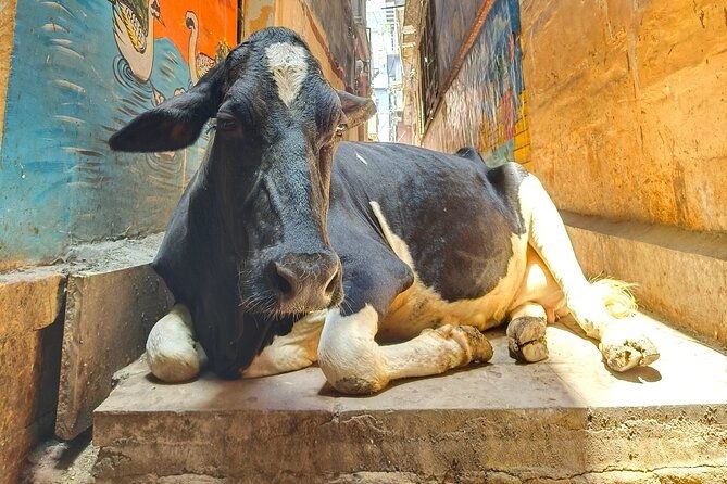 2 Day Private Mystical Varanasi Tour - Day 1: Sacred Sites and Spiritual Rituals