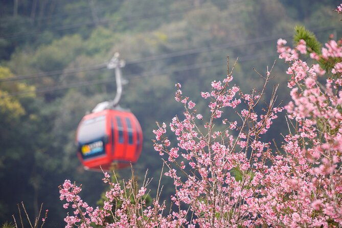 2-Day Sun Moon Lake Private Tour from Taipei - Authentic Experiences & Highlights from Reviewers
