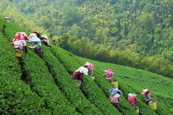 2-Day Unlimited Private Trip to Suzhou and Hangzhou by Bullet Train from Shanghai - What’s Included and What’s Not