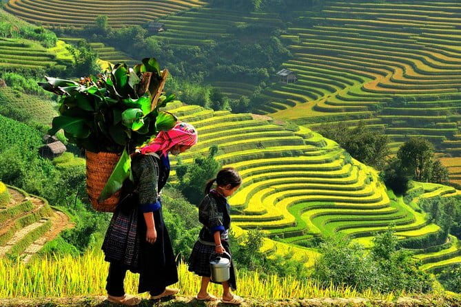 2 days - 1 night trekking Sapa tours from Hanoi - What the Reviews Say