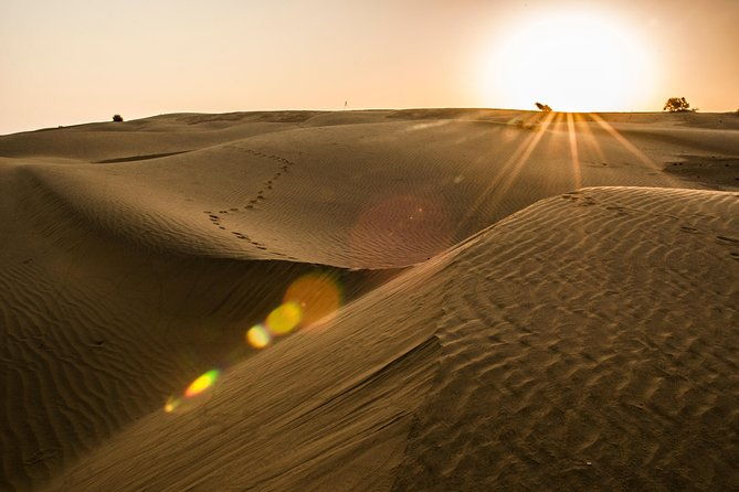 2 Days and 1 Night Camel Safari - Practical Details & What You Need to Know