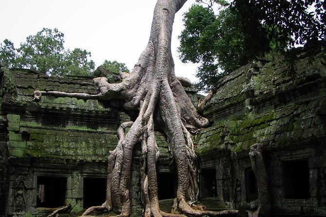 2 Days Angkor Wat Tranquility Tour - Who should consider this tour?