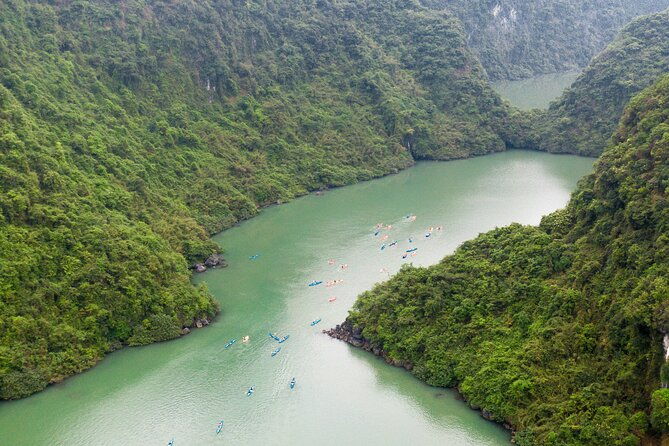 2 Days Cruise Tour in Halong Bay from Hanoi - The Value of Included Activities and Meals