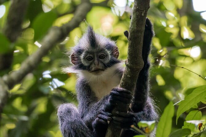 2 Days Ethical Jungle Trek in Sumatra - Why This Tour Offers Great Value