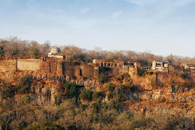 2 Days Ranthambore Tiger Safari with Tickets - Authentic Reviewer Insights