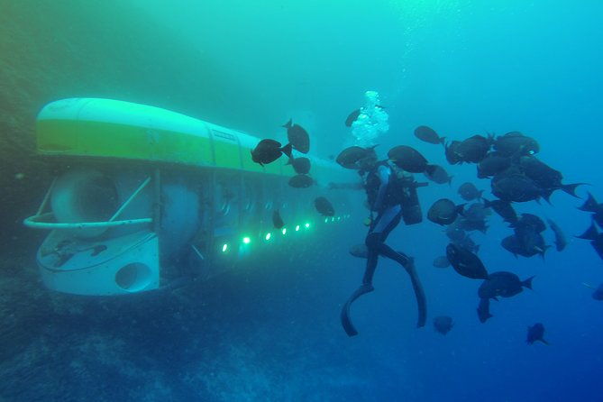 2-Hour Maldives Submarine Tour From Male - What You Can Expect From This Submarine Tour
