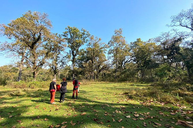 2 Hours Nature Walk in Chitwan National Park - The Practical Side: Booking, Timing, and Tips