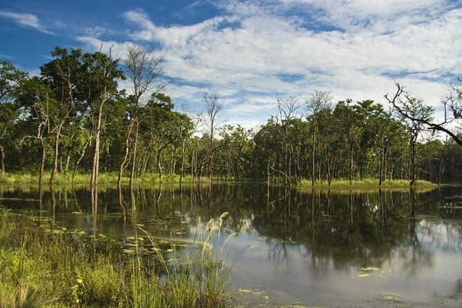 2 Night 3 Day Chitwan Jungle Safari Tour from Pokhara - Day 3: Returning with Memories — From Jungle to Pokhara