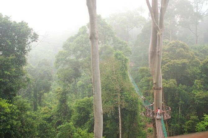 2-Night Danum Valley Borneo Rainforest Lodge Hiking and Wildlife Adventure - Who Is This Tour Best For?