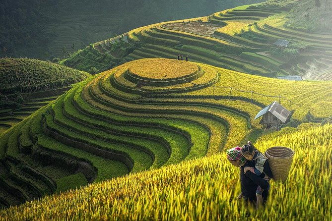 2-Night Sapa Tour with Fansipan Peak by Bus from Hanoi - Practical Tips for Your Trip