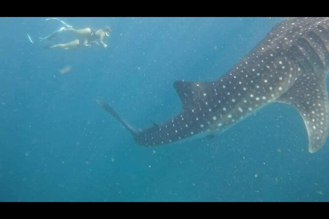 2025 Bohol Customized Tours - Why Choose This Tour?