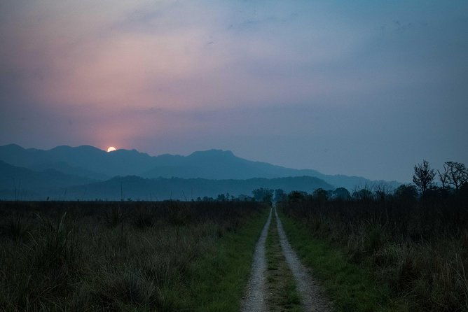 2N Jim Corbett National Park (Dhikala Zone) - Who Would Love This Tour?