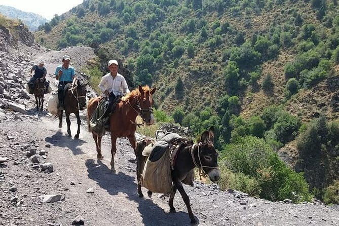 3-Day Chimgan Trekking Tour - Who Should Consider This Trip?