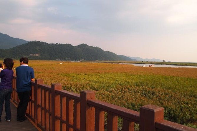 3-Day Korea Western course by K-shuttle Tour from Seoul to Busan - What Travelers Say