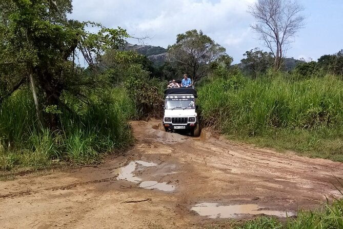 3 Day Private Tour from Negombo to Sigiriya and Kandy - Why This Tour Offers Great Value