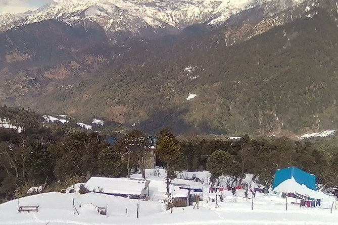 3 Days 2 Nights Poon Hill Trekking - Transportation, Guides, and Inclusions